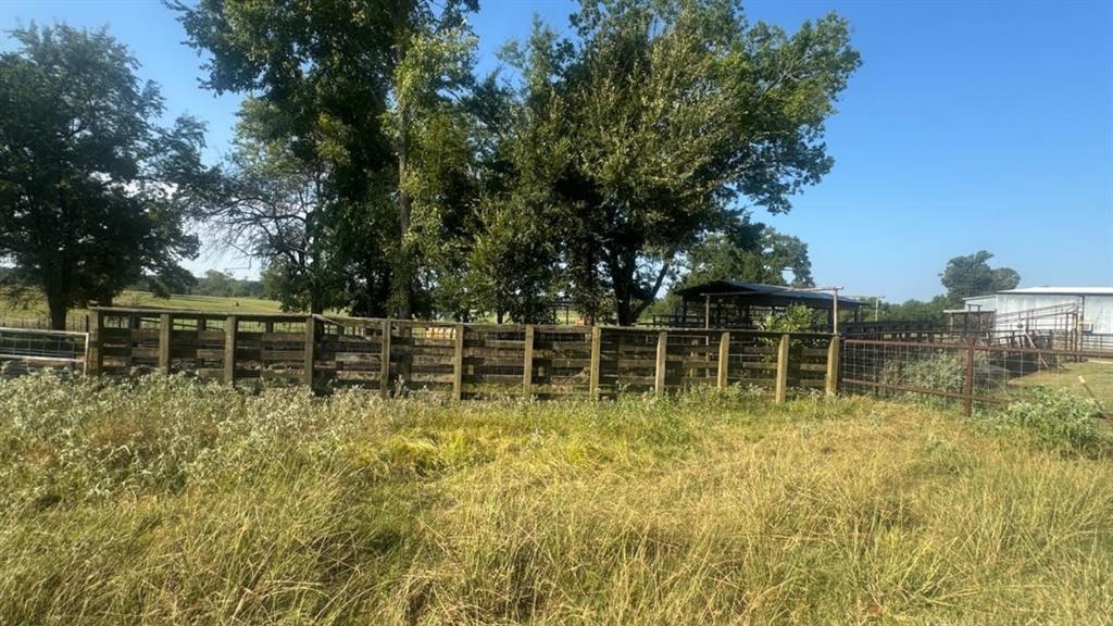 768 County Road 2220 Property Photo 33