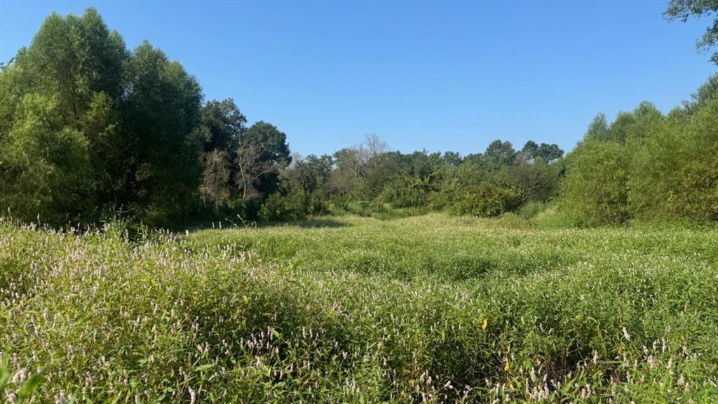 768 County Road 2220 Property Photo 38