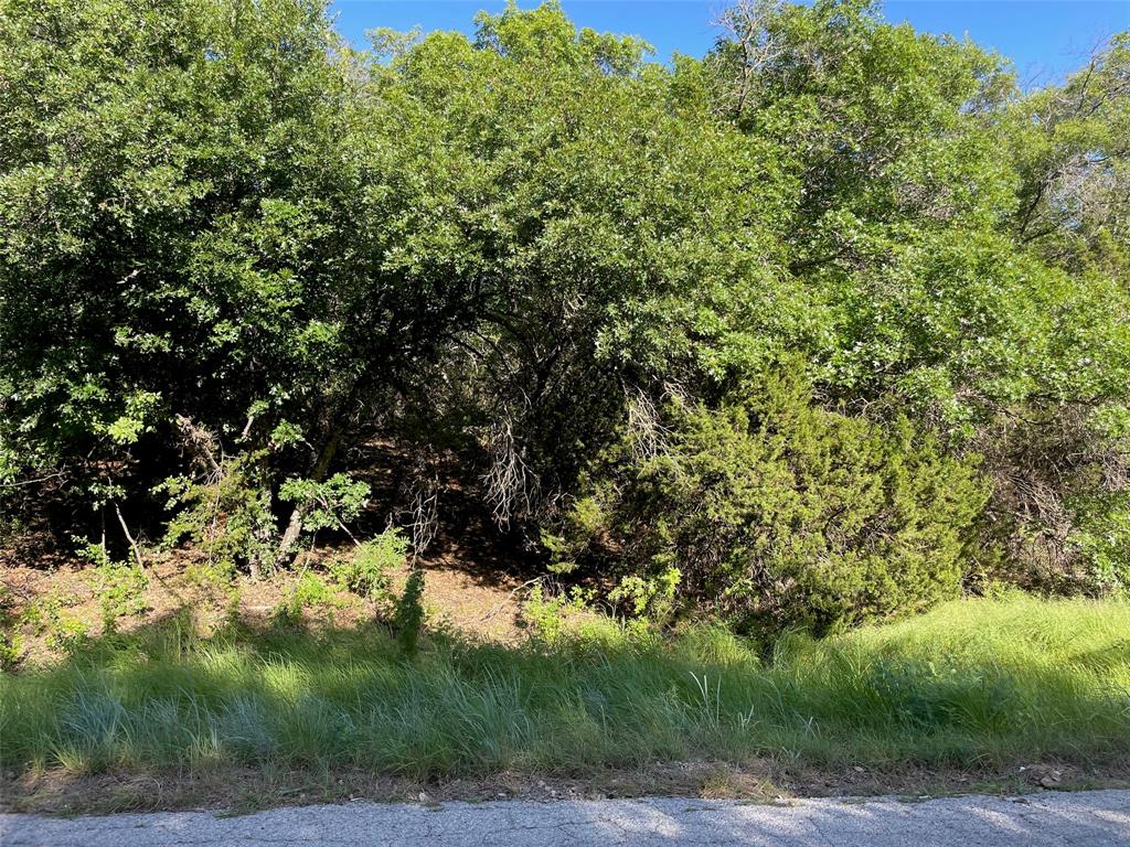 Lot 24 Oakcrest Drive Property Photo 2