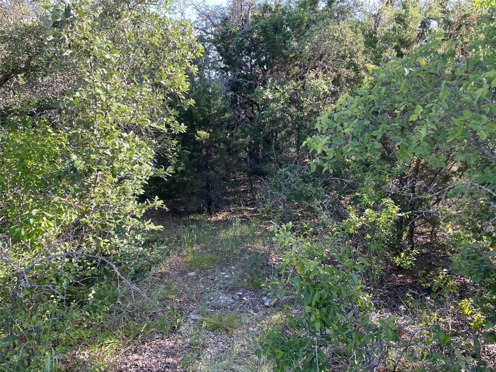 Lot 24 Oakcrest Drive Property Photo 5