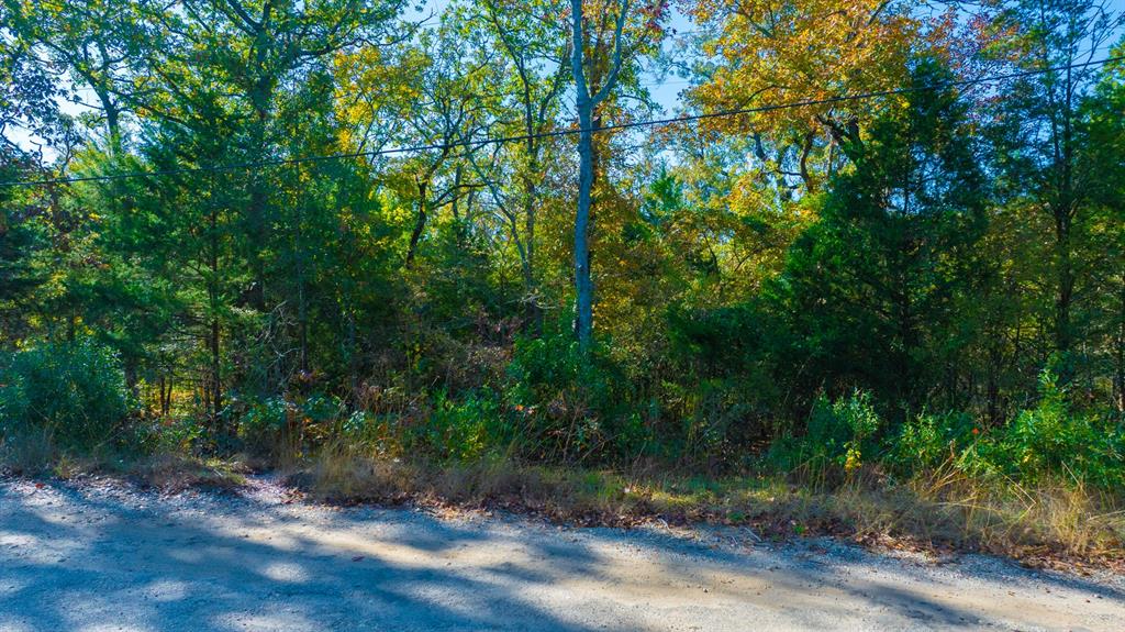 Tbd-3 Cottonwood Lane Property Photo 6