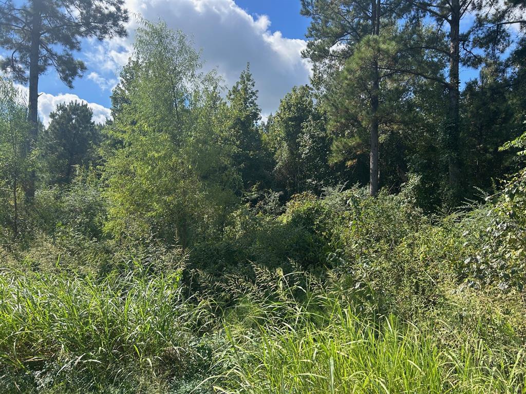 0 Cottonwood Property Photo 3