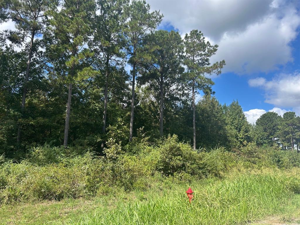 0 Cottonwood Property Photo 4