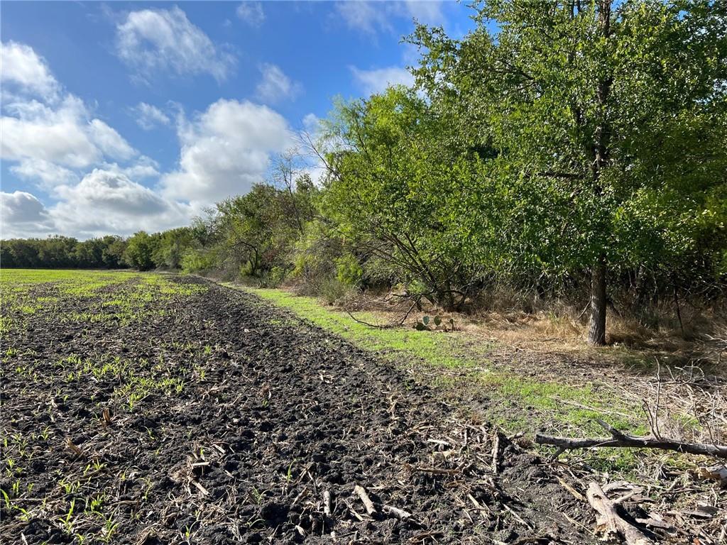 TBD CR 117 Road