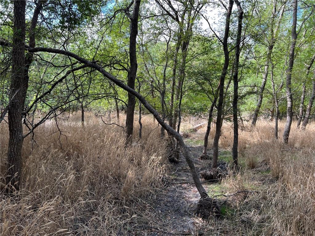 Tbd Cr 117 Road Property Photo 2