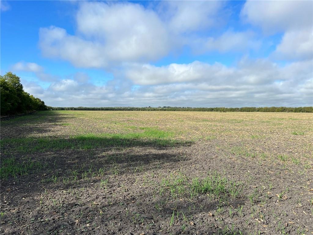 Tbd Cr 117 Road Property Photo 4