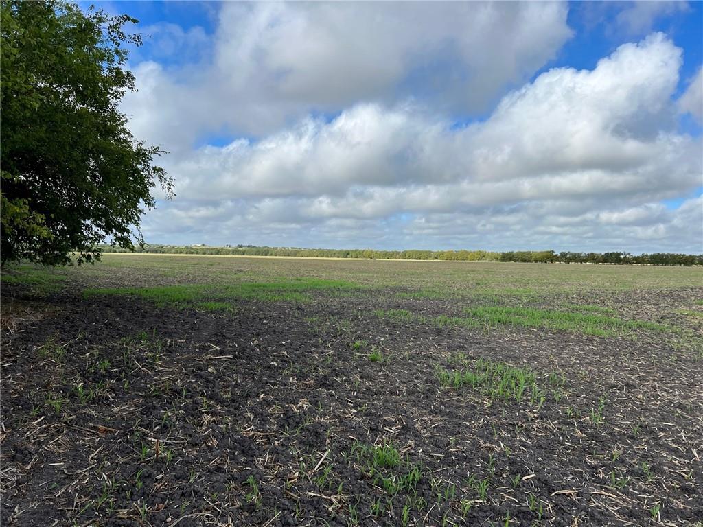 Tbd Cr 117 Road Property Photo 4