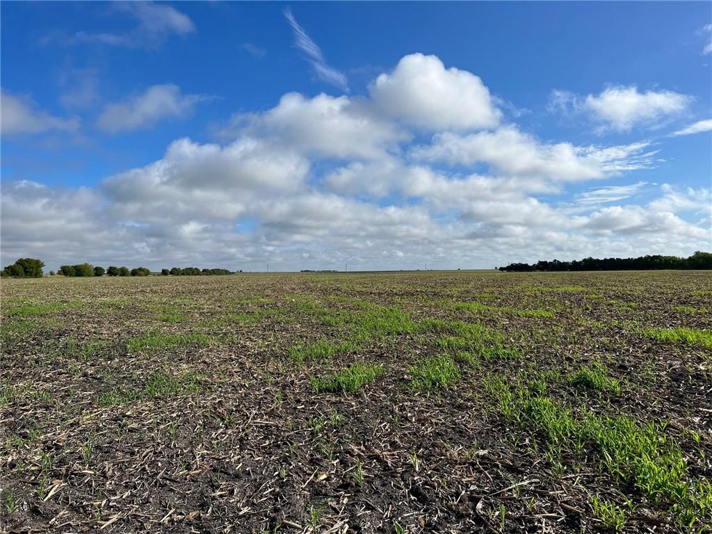 Tbd Cr 117 Road Property Photo 9