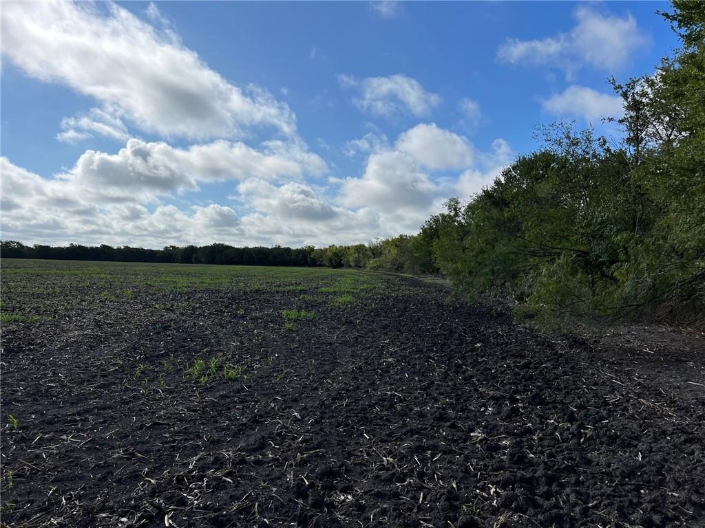 Tbd Cr 117 Road Property Photo 11