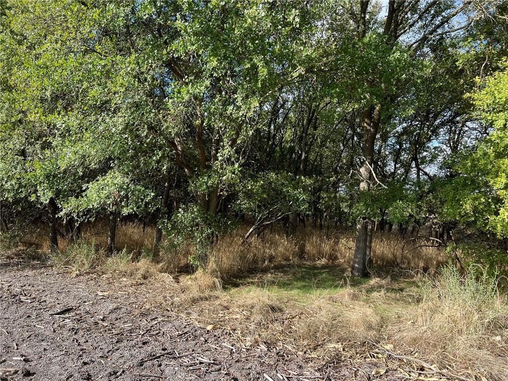Tbd Cr 117 Road Property Photo 12