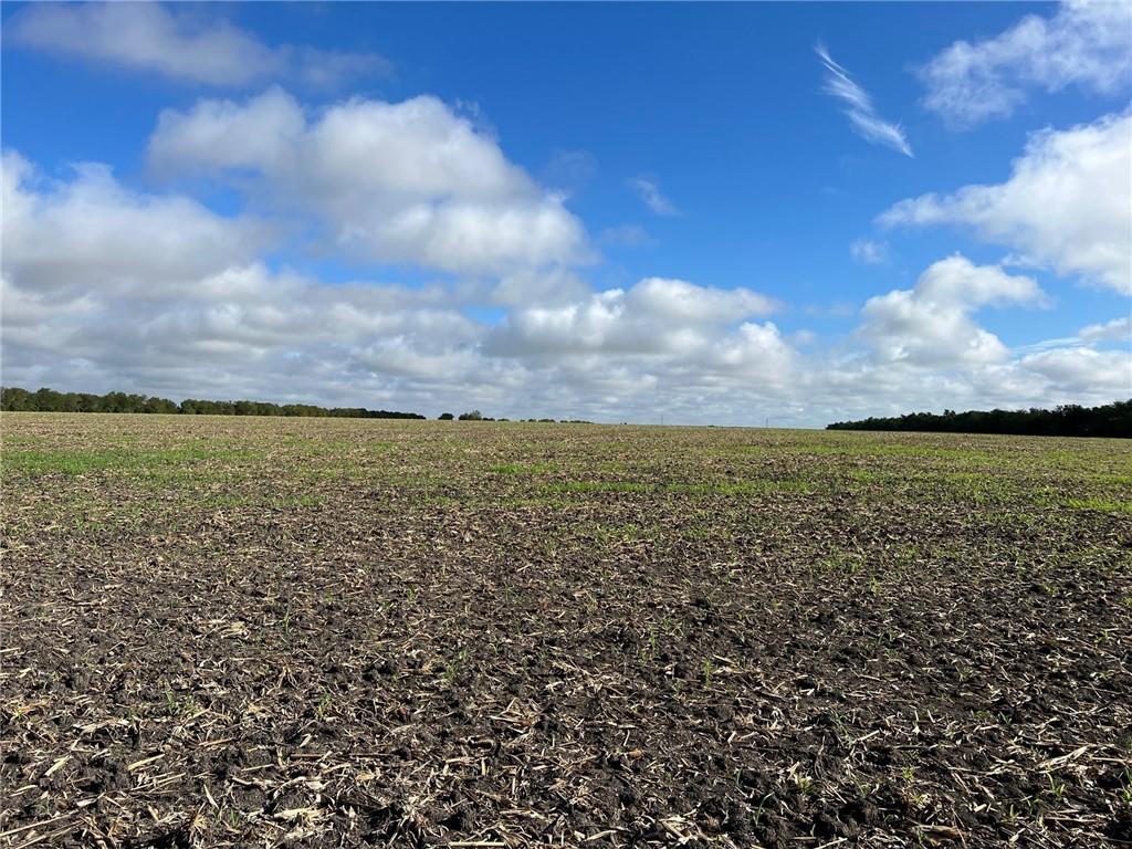 Tbd Cr 117 Road Property Photo 13