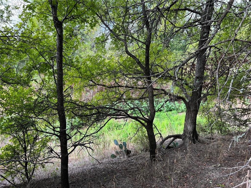 Tbd Cr 117 Road Property Photo 14