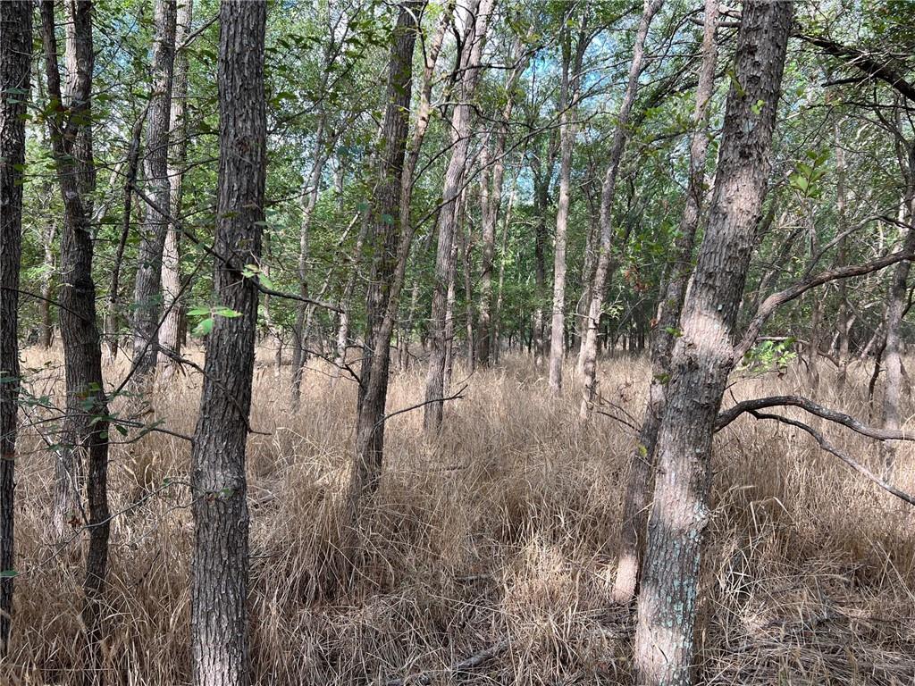 Tbd Cr 117 Road Property Photo 14