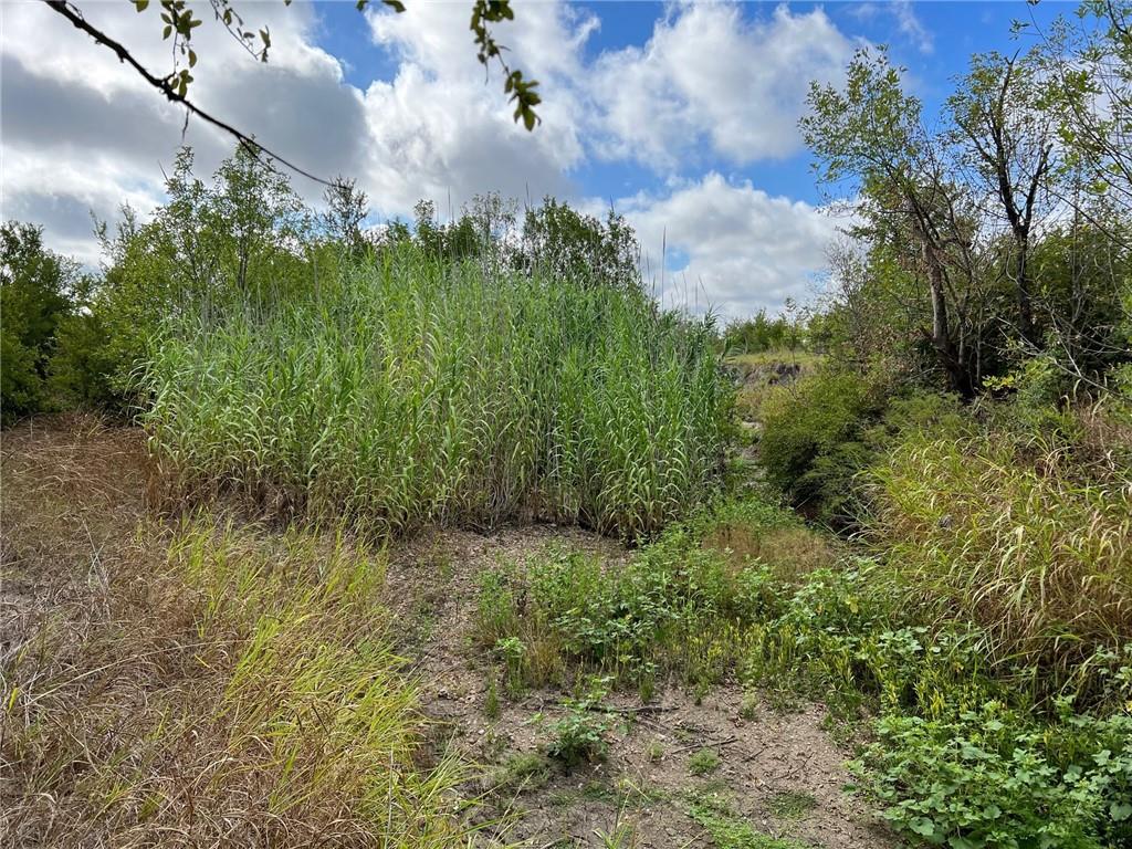 Tbd Cr 117 Road Property Photo 15