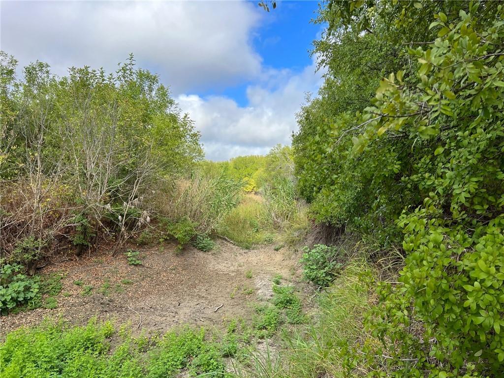 Tbd Cr 117 Road Property Photo 16