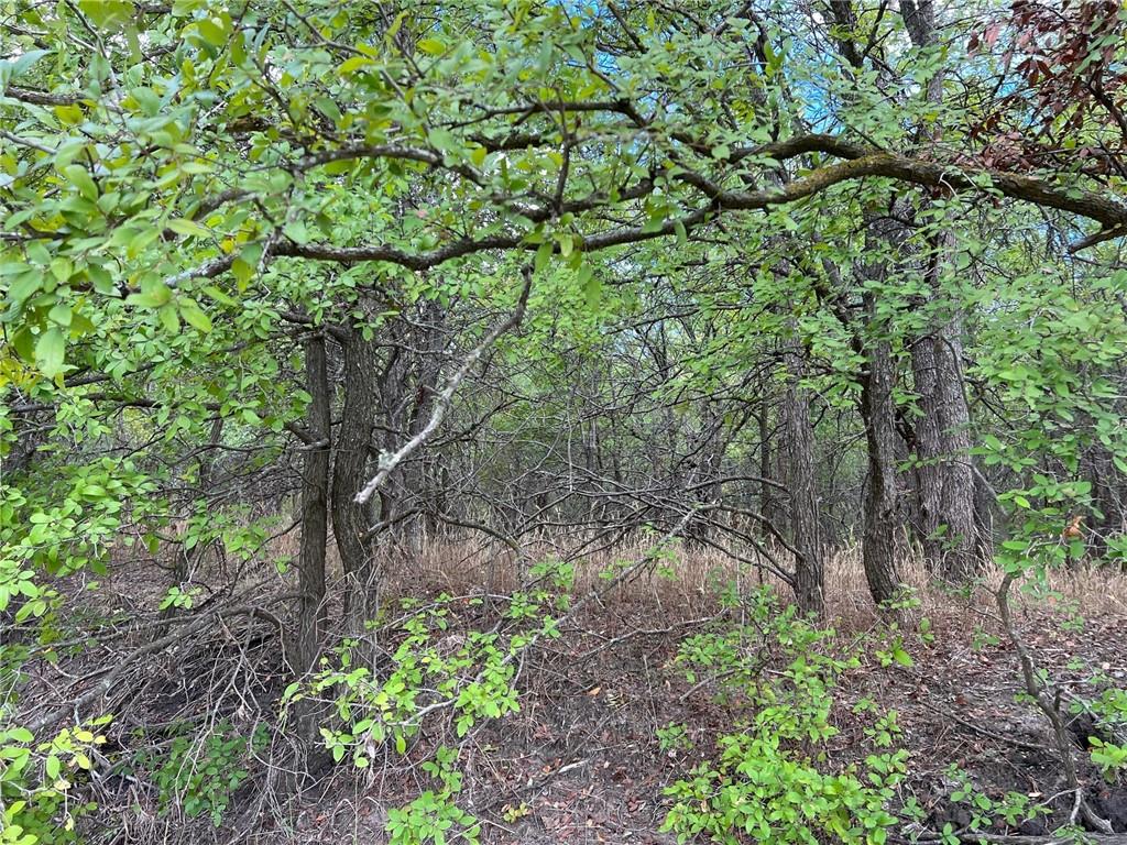 Tbd Cr 117 Road Property Photo 17