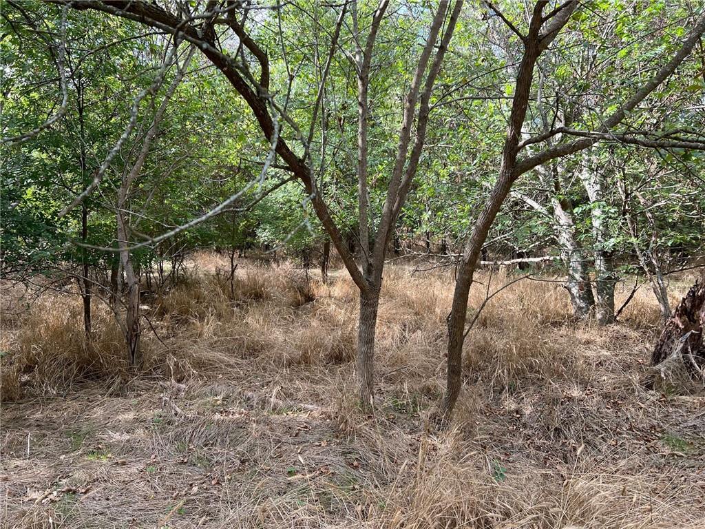 Tbd Cr 117 Road Property Photo 20