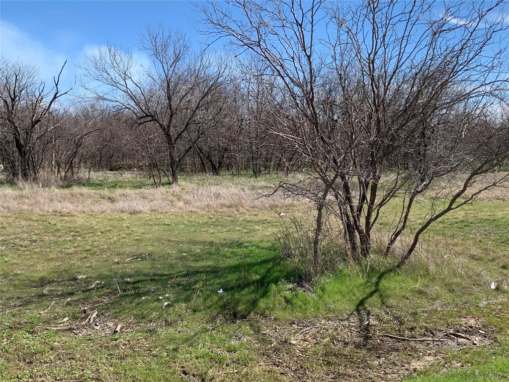518 Sleepy Meadow Drive Property Photo 2