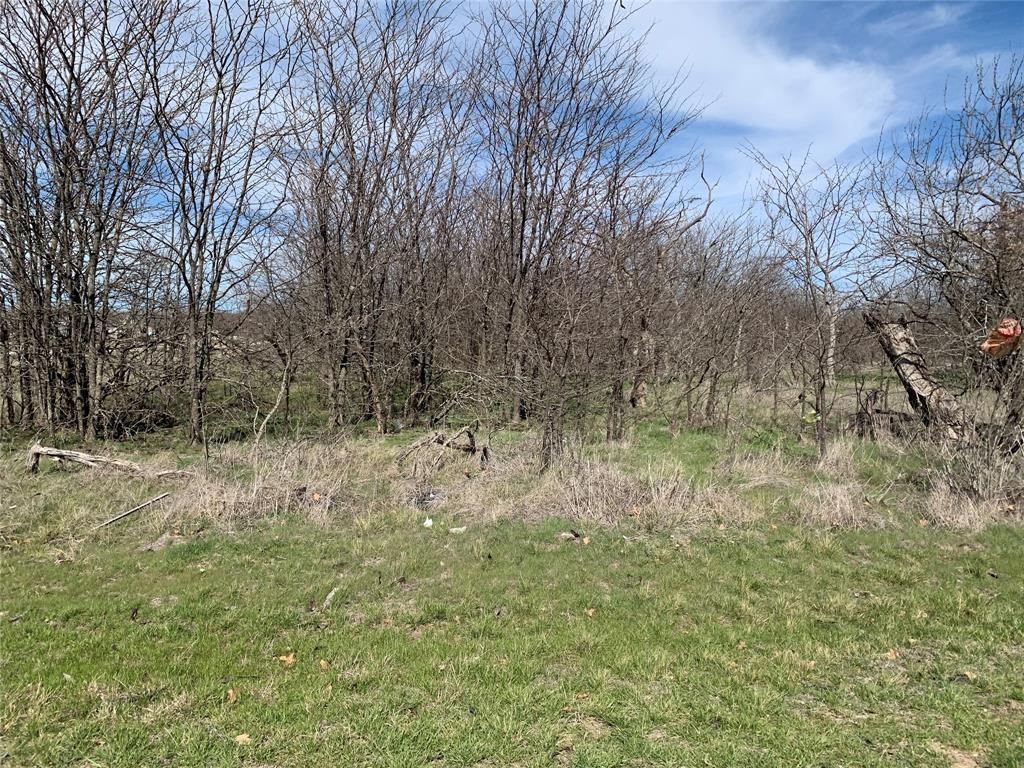 518 Sleepy Meadow Drive Property Photo 15