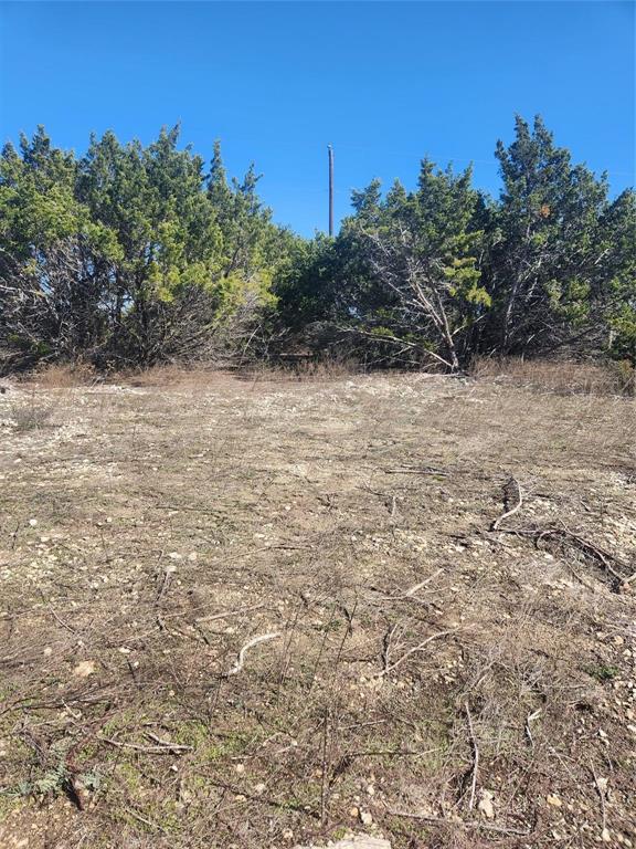 1005 Overhill Drive Property Photo 3