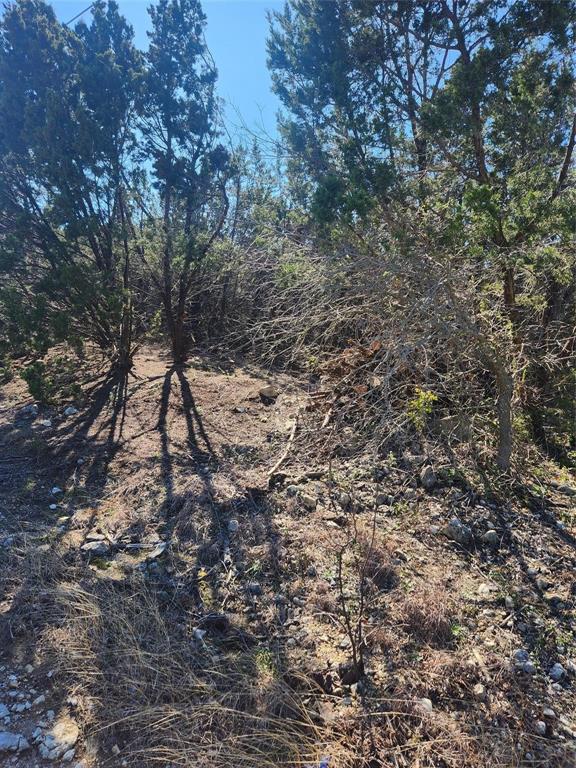 1005 Overhill Drive Property Photo 4