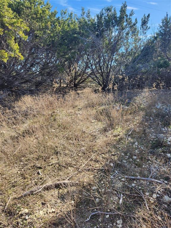 1005 Overhill Drive Property Photo 12