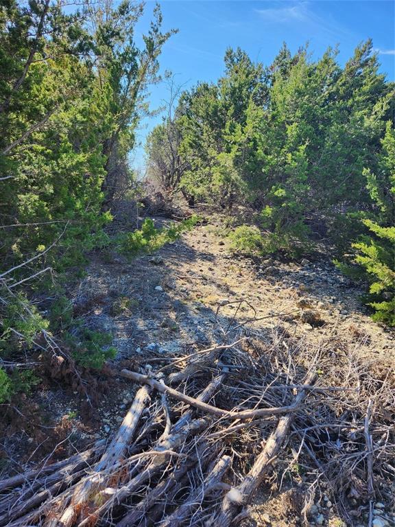 1005 Overhill Drive Property Photo 15