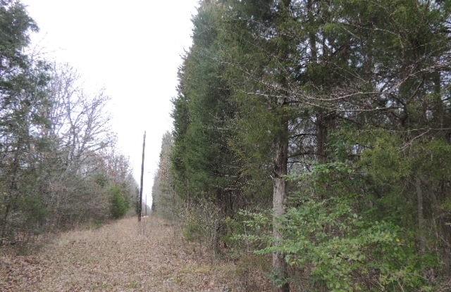 Tbd County Road 4455 Property Photo 1