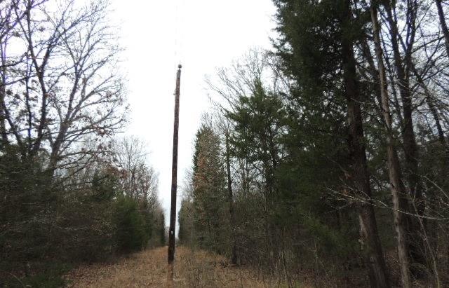 Tbd County Road 4455 Property Photo 2