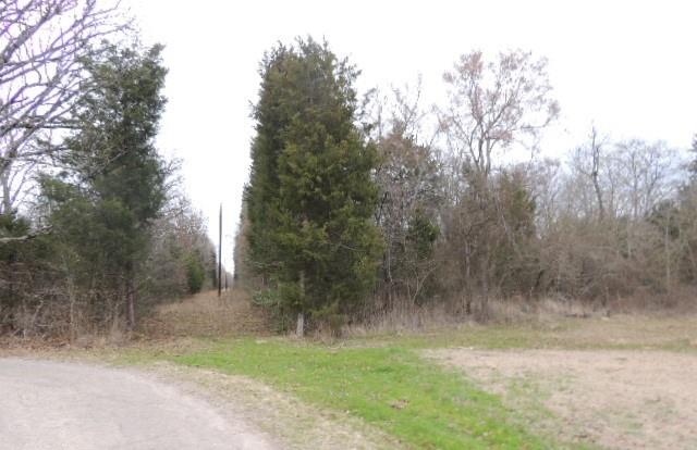 Tbd County Road 4455 Property Photo 3