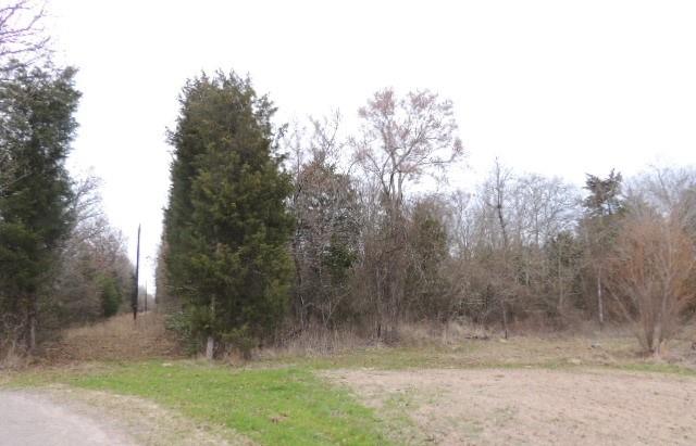 Tbd County Road 4455 Property Photo 4