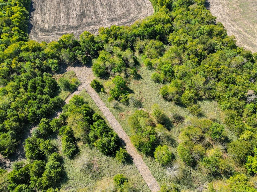 Tbd Off Fm 3427 Property Photo 12