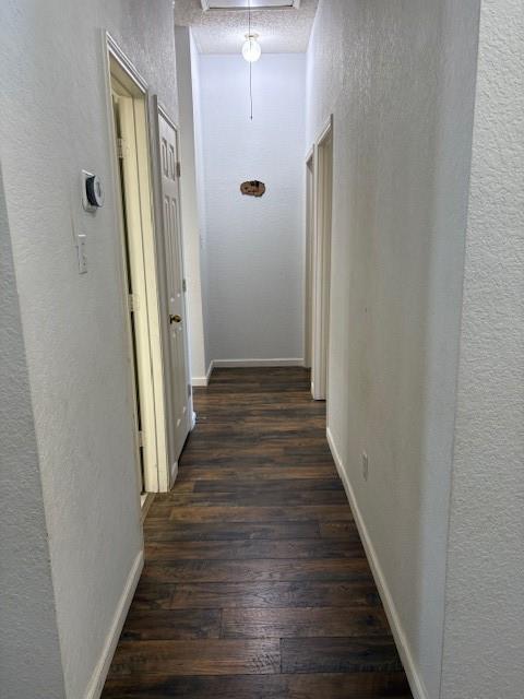 3532 San Patricio Drive Property Photo 13