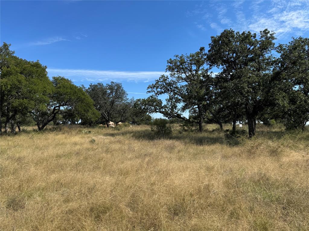 Lot 34 Buck Run Property Photo 6