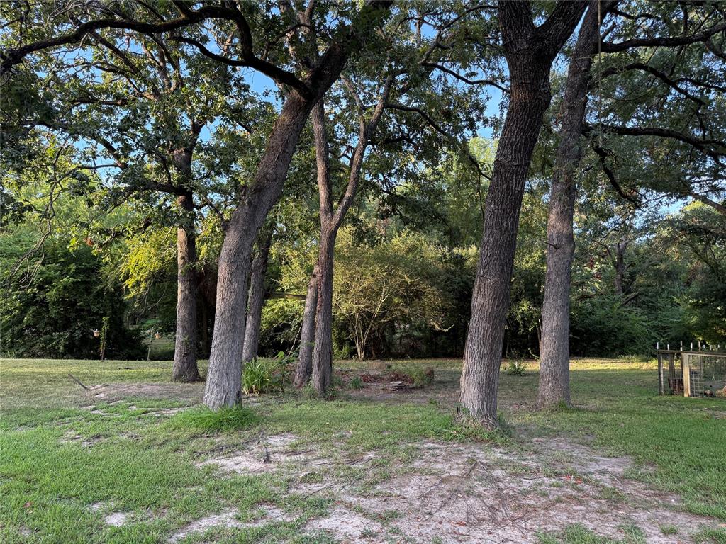 Tbd Lake Drive Property Photo 5