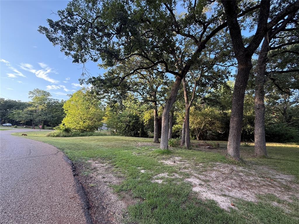 Tbd Lake Drive Property Photo 6