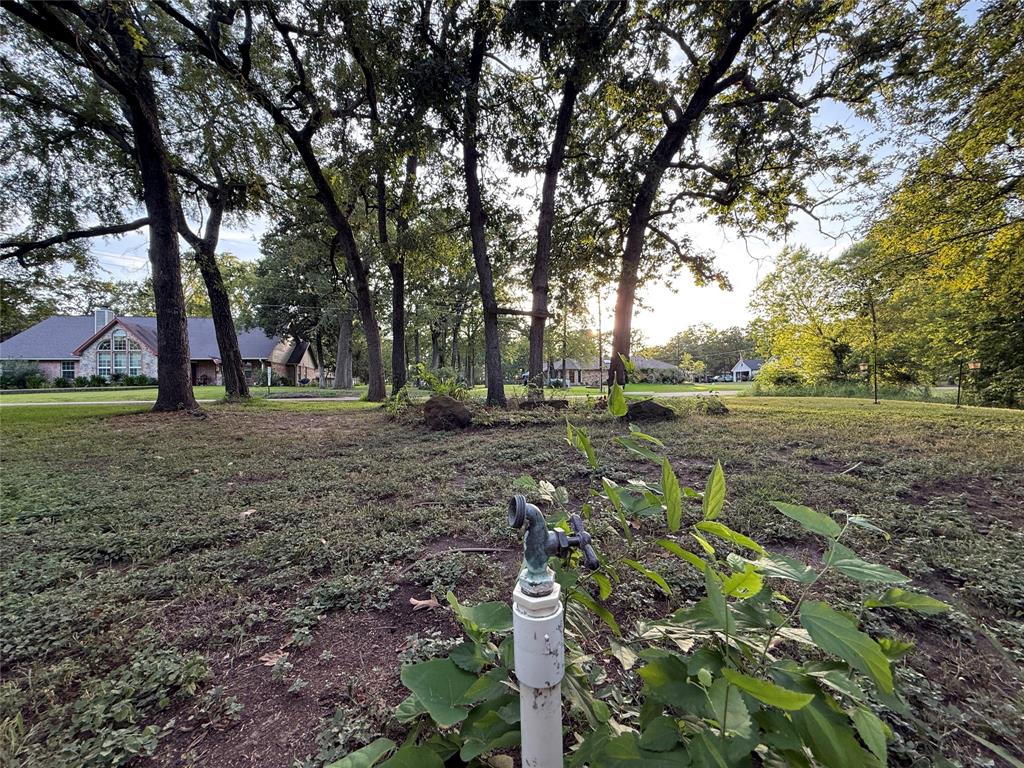 Tbd Lake Drive Property Photo 7