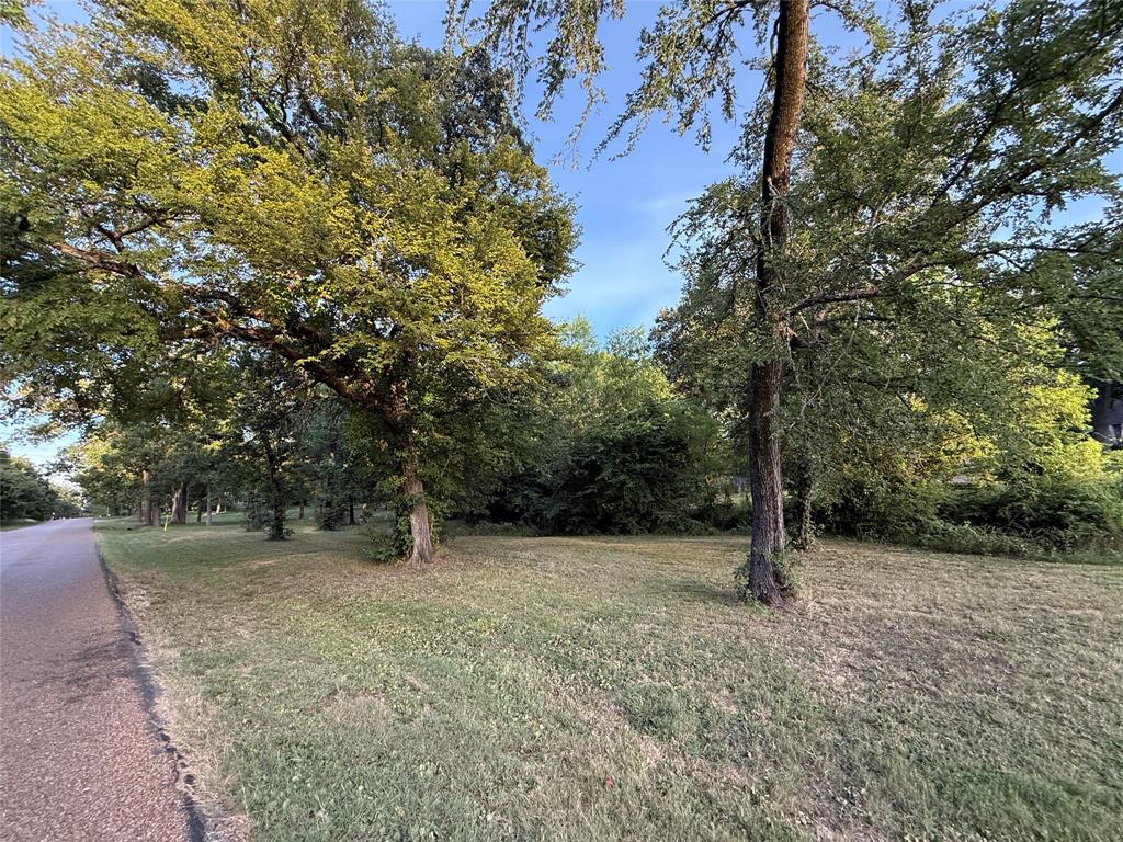 Tbd Lake Drive Property Photo 11