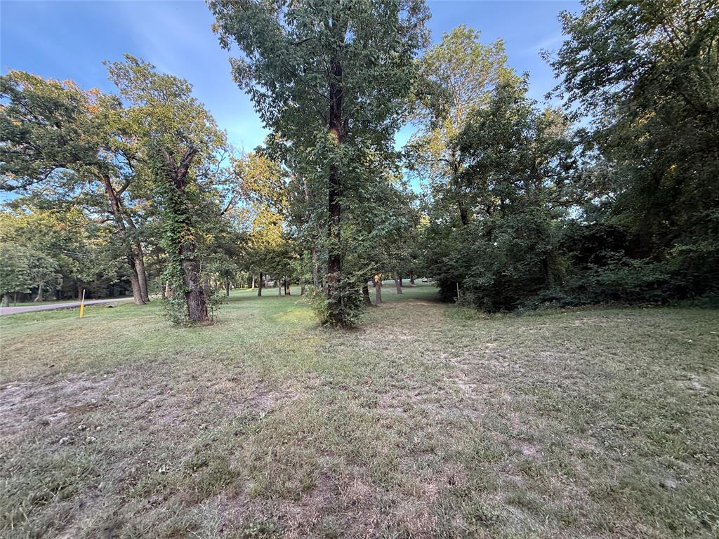 Tbd Lake Drive Property Photo 13