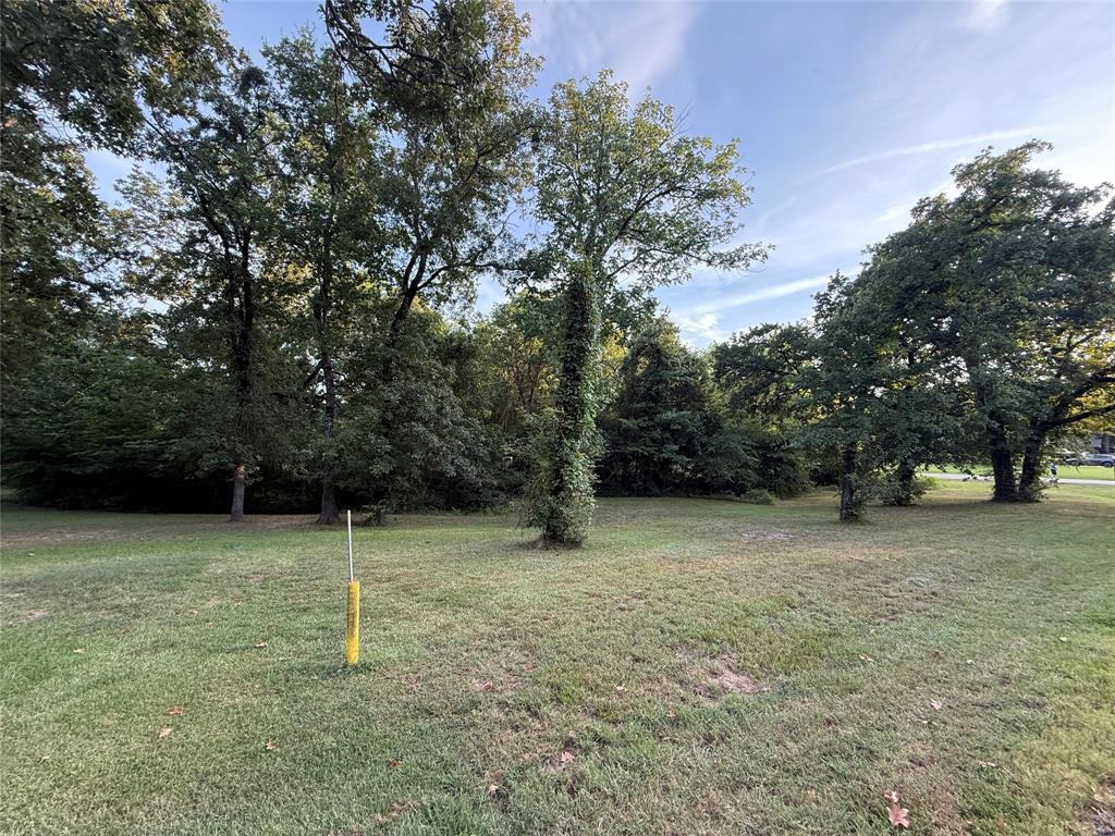 Tbd Lake Drive Property Photo 14