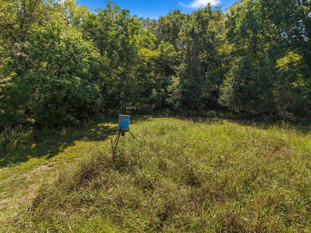 Tbd N Highway 69 Property Photo 5
