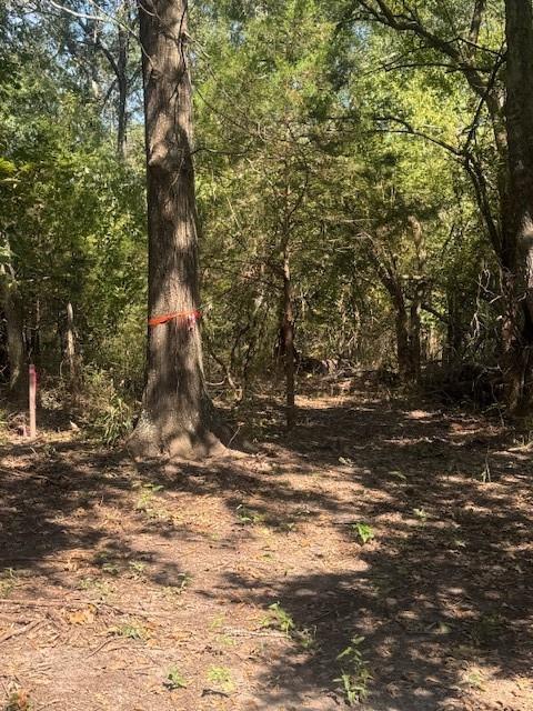 Tbd N Highway 69 Property Photo 13