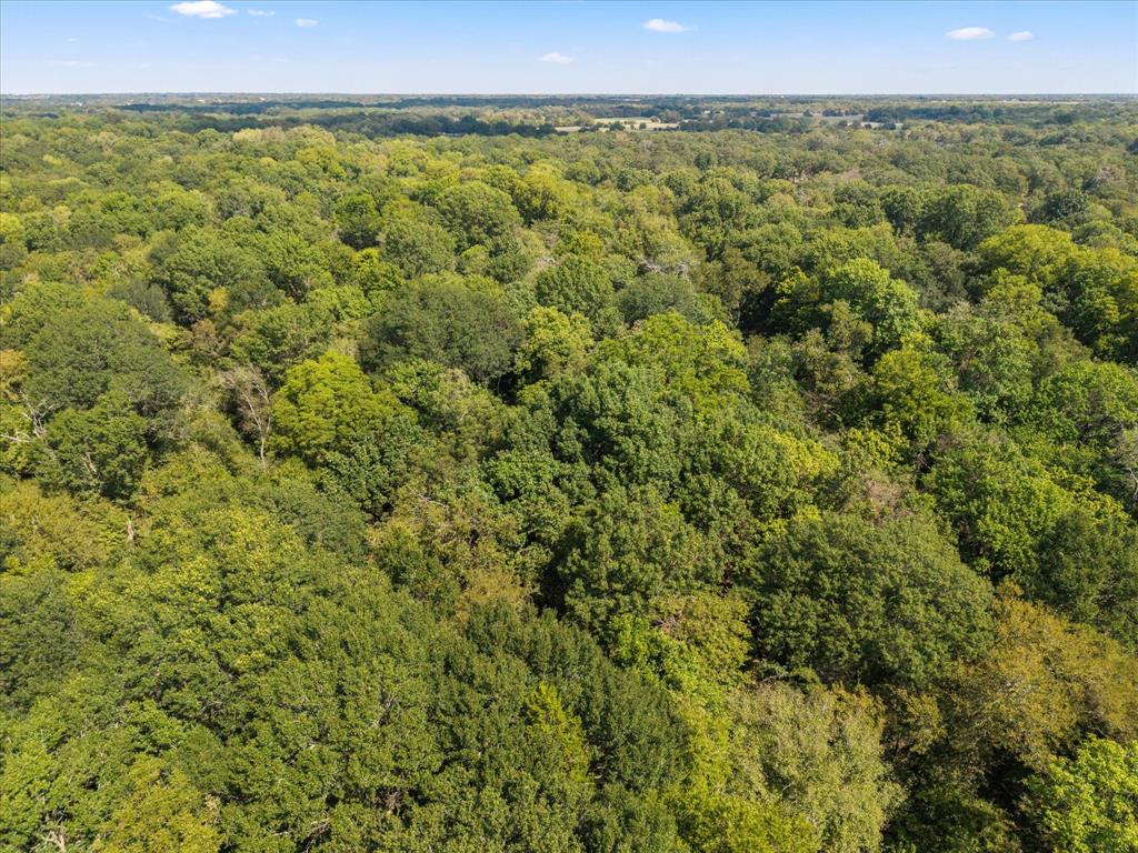 Tbd N Highway 69 Property Photo 22