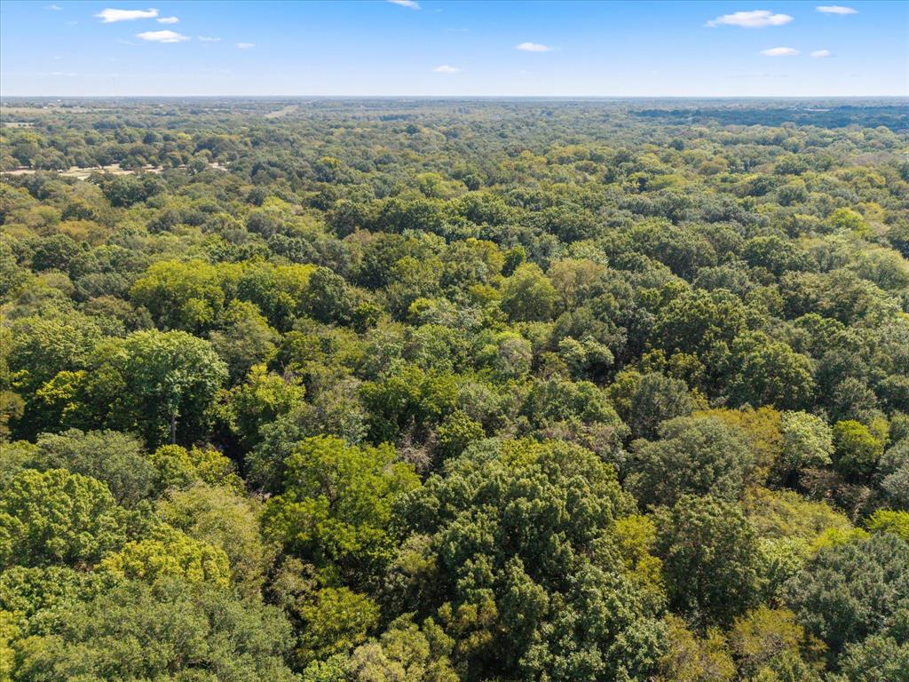 Tbd N Highway 69 Property Photo 26