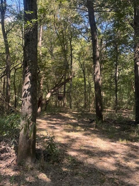 Tbd N Highway 69 Property Photo 29