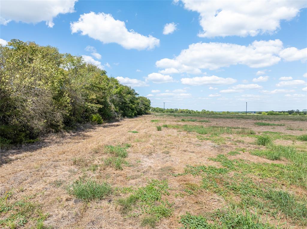 3103 Fm 198 Property Photo 6