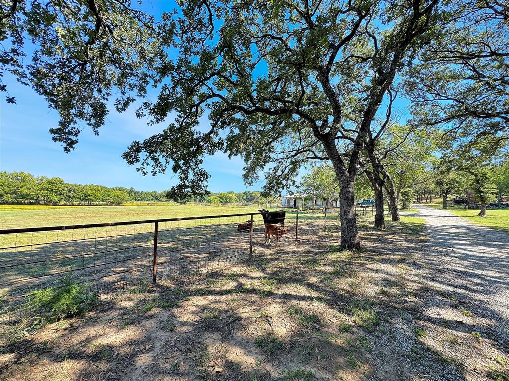 5167 Rock Hill Road Property Photo 22