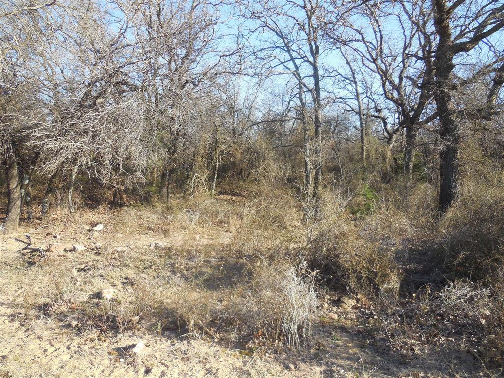 12436 County Road 134 Property Photo 19
