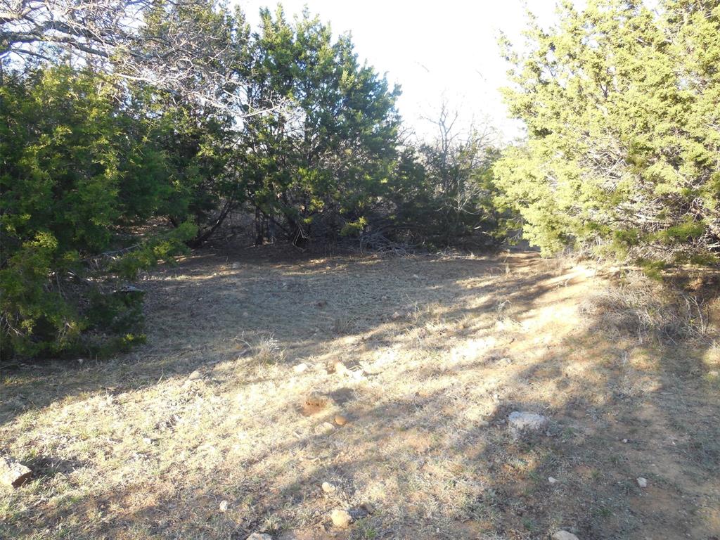 12436 County Road 134 Property Photo 27