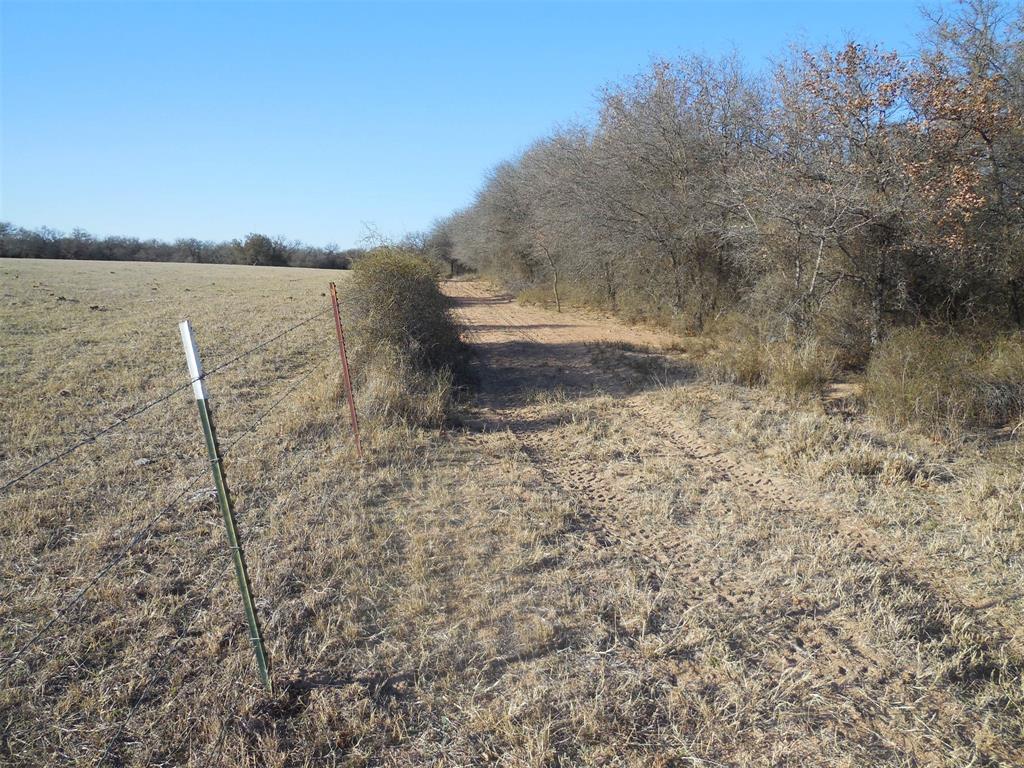 12436 County Road 134 Property Photo 29